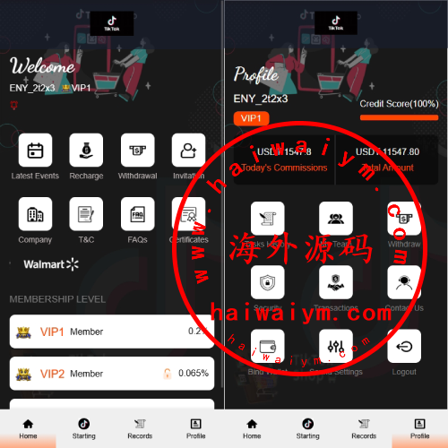 海外TIKTOK抢单刷单系统/连单卡单/前端VUE